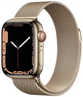Умные часы Apple Watch Series 7 GPS + Cellular 41 мм Stainless Steel Case with Gold Stainless Steel Milanese Loop, золото/золото Миланский ремешок