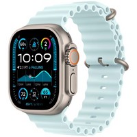 Умные часы Apple Watch Ultra 2 49 мм (2024) Natural Titanium Case, Ice Blue Ocean Band (ледяной синий)