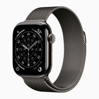 Умные часы Apple Watch Series 11 42 мм Slate Titanium Case with Slate Milanese Loop