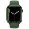 Умные часы Apple Watch Series 7 45 мм Aluminium Case, зеленый клевер MKN73LL/A - фото 16917