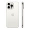 Смартфон Apple iPhone 15 Pro Max 256 Гб Титановый белый (White Titanium) - фото 21120