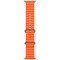 Умные часы Apple Watch Ultra 2 49 мм Titanium Case GPS + Cellular, Orange Ocean Band (Оранжевый) - фото 21394