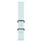 Умные часы Apple Watch Ultra 2 49 мм (2024) Natural Titanium Case, Ice Blue Ocean Band (ледяной синий) - фото 22435