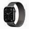 Умные часы Apple Watch Series 11 46 мм Slate Titanium Case with Slate Milanese Loop ML - фото 23465