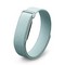 Фитнес-браслет Google Fitbit Air Туман бирюзовый (Fog) - фото 24131