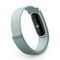 Фитнес-браслет Google Fitbit Air Туман бирюзовый (Fog) - фото 24133