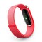 Фитнес-браслет Google Fitbit Air Розовый ягодный (Berry) - фото 24142