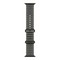 Умные часы Apple Watch Ultra 4 49 мм Black Titanium Case, TransluBlack Ocean Band (Полупрозрачный Черный) - фото 24531
