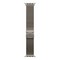 Умные часы Apple Watch Ultra 4 49 мм Natural Titanium Case with Natural titanium Milanese loop (Mиланский титановый) Medium - фото 24551