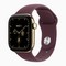 Умные часы Apple Watch Series 12 42 мм Radiant Gold Titanium Case GPS, Burgundy Sport Band (Бордовый) - фото 24563